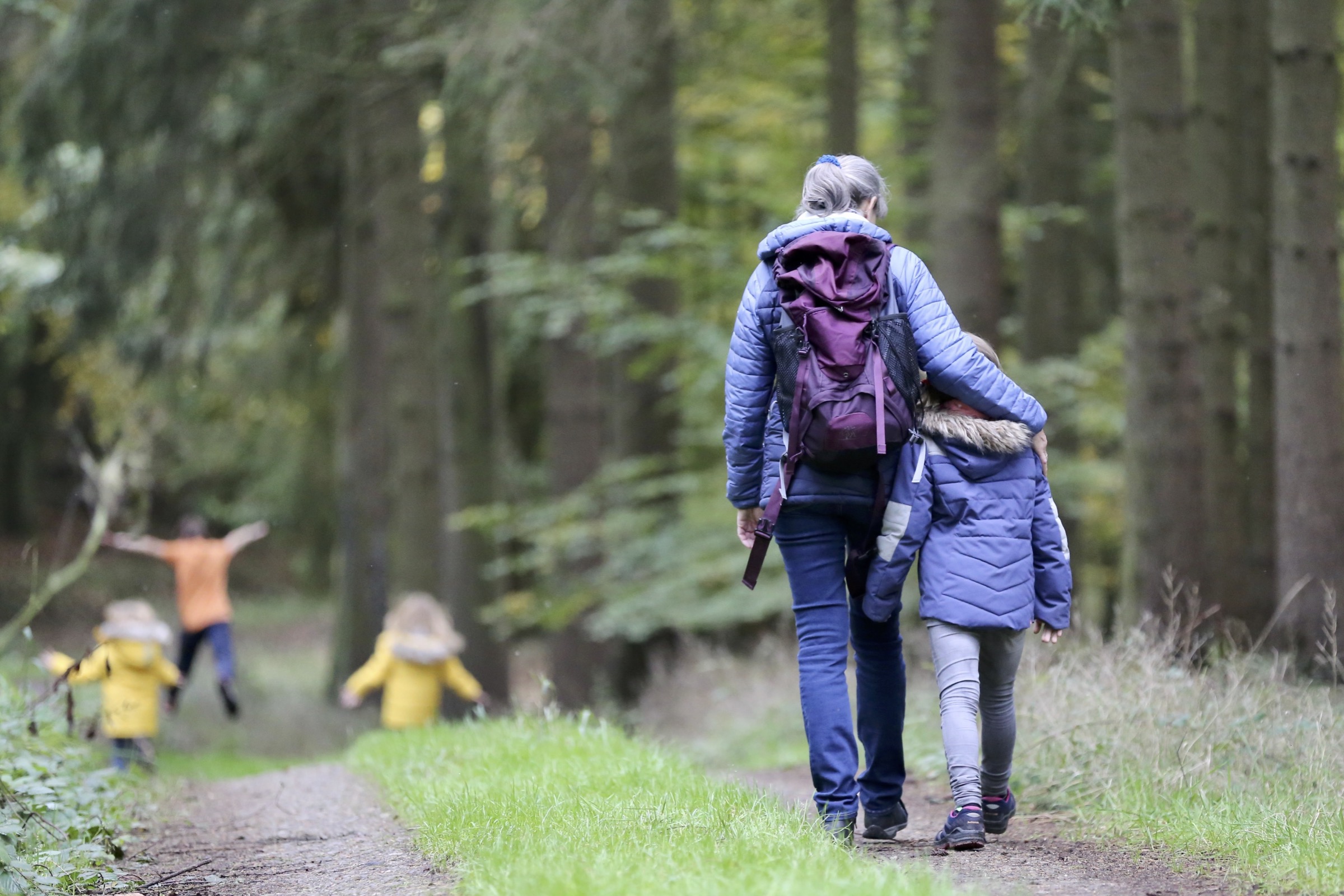 Walking Through the Forest 