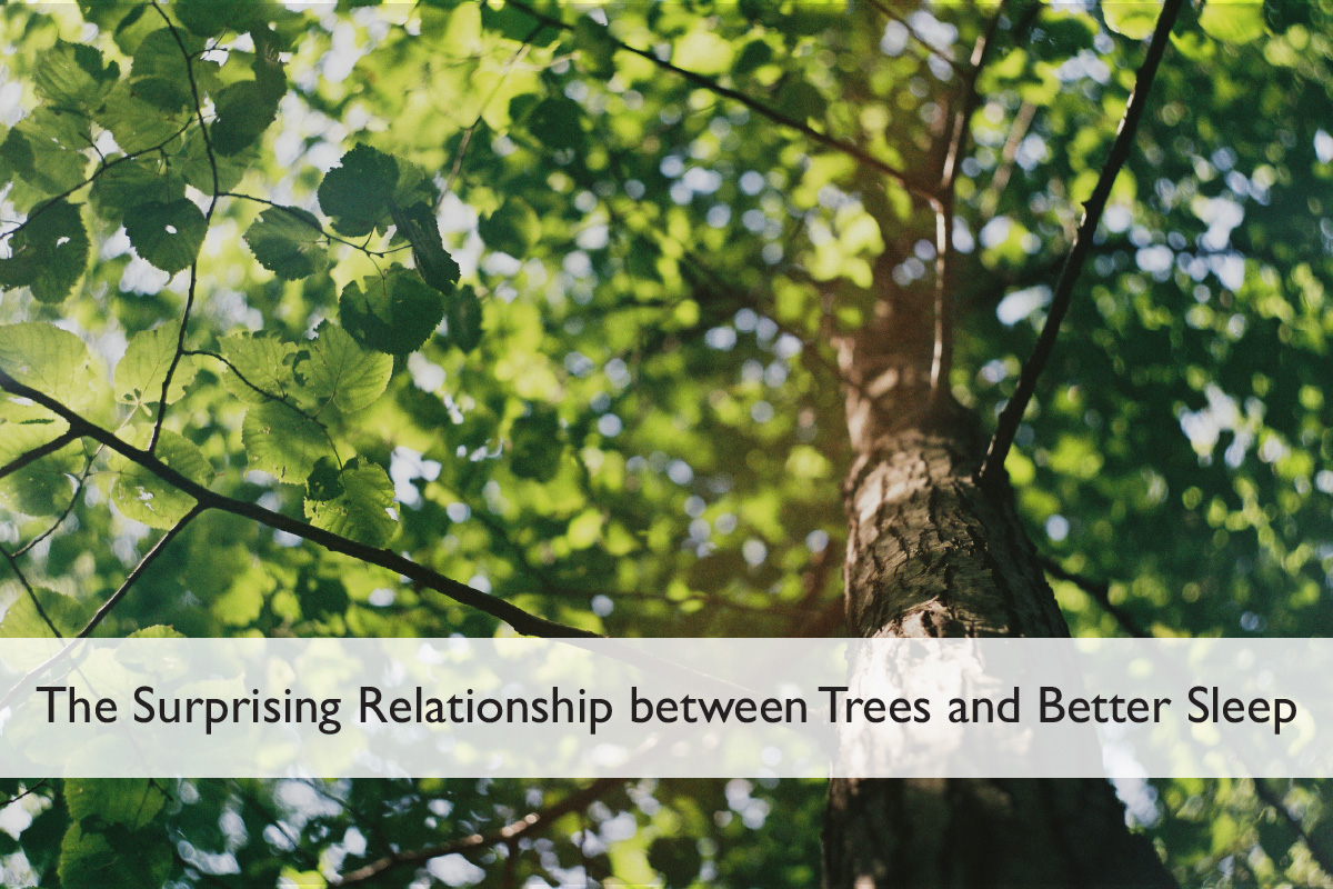 Tree Image with Text Overlay. The Surprising Relationship Between Trees and Better Sleep.
