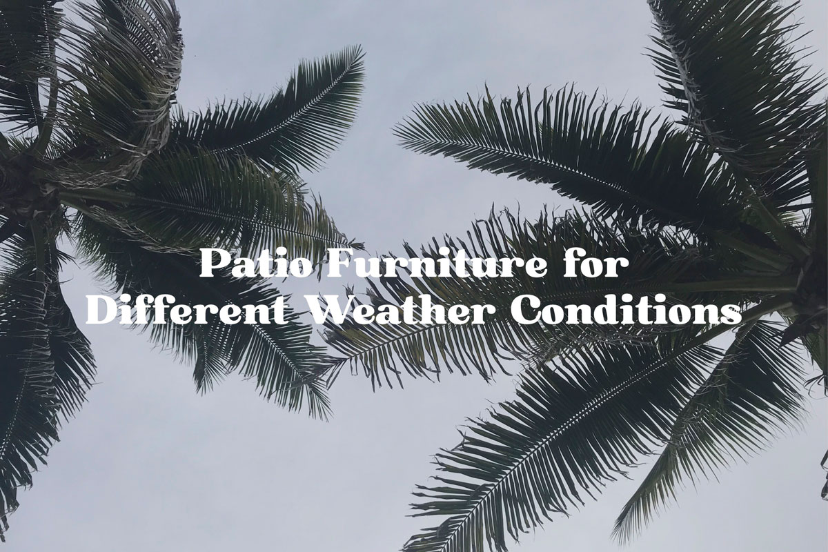 Patio Furniture For Different Weather Conditions: Palm Trees Against Cloudy Skies. 