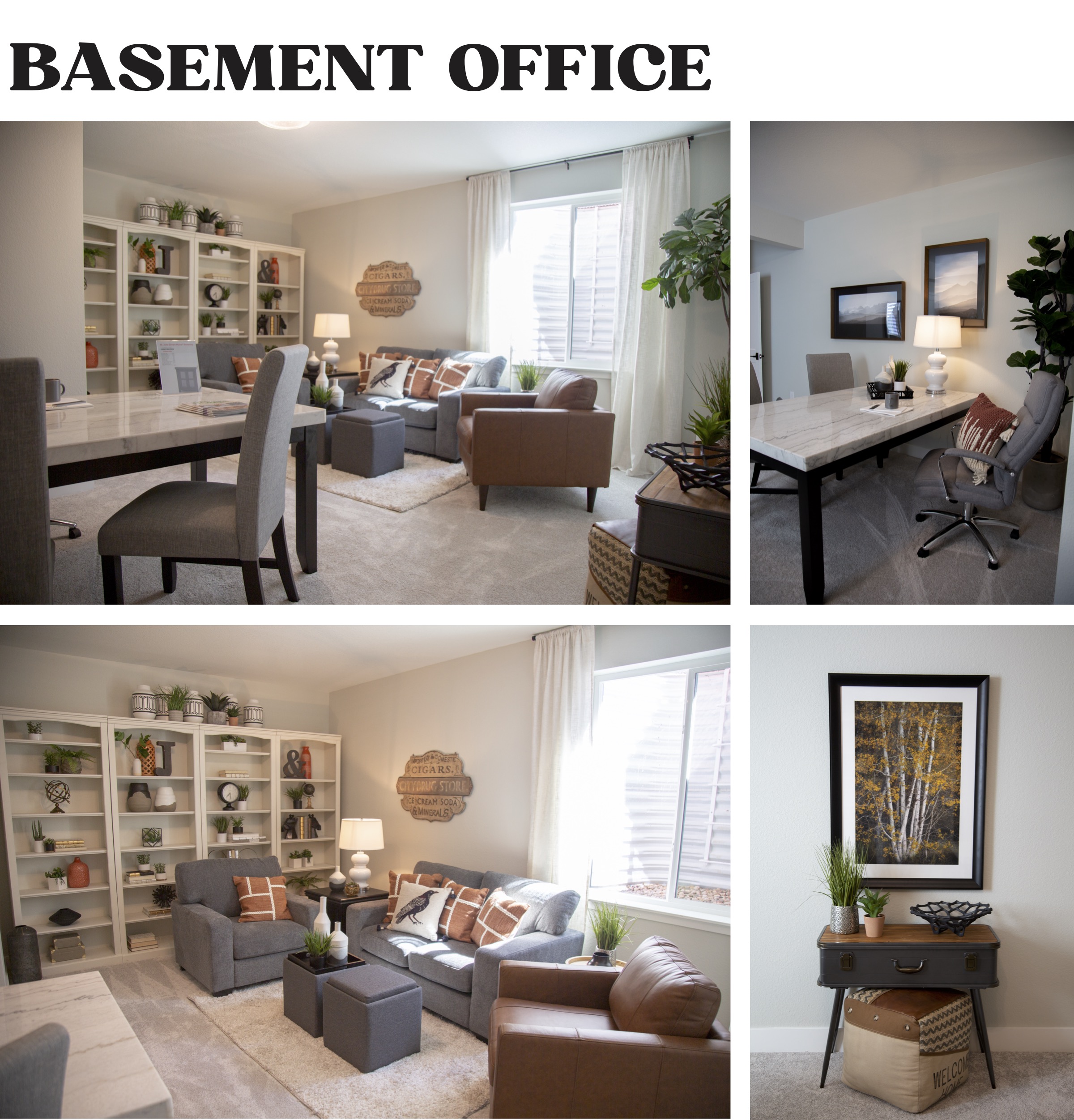 Basement Office