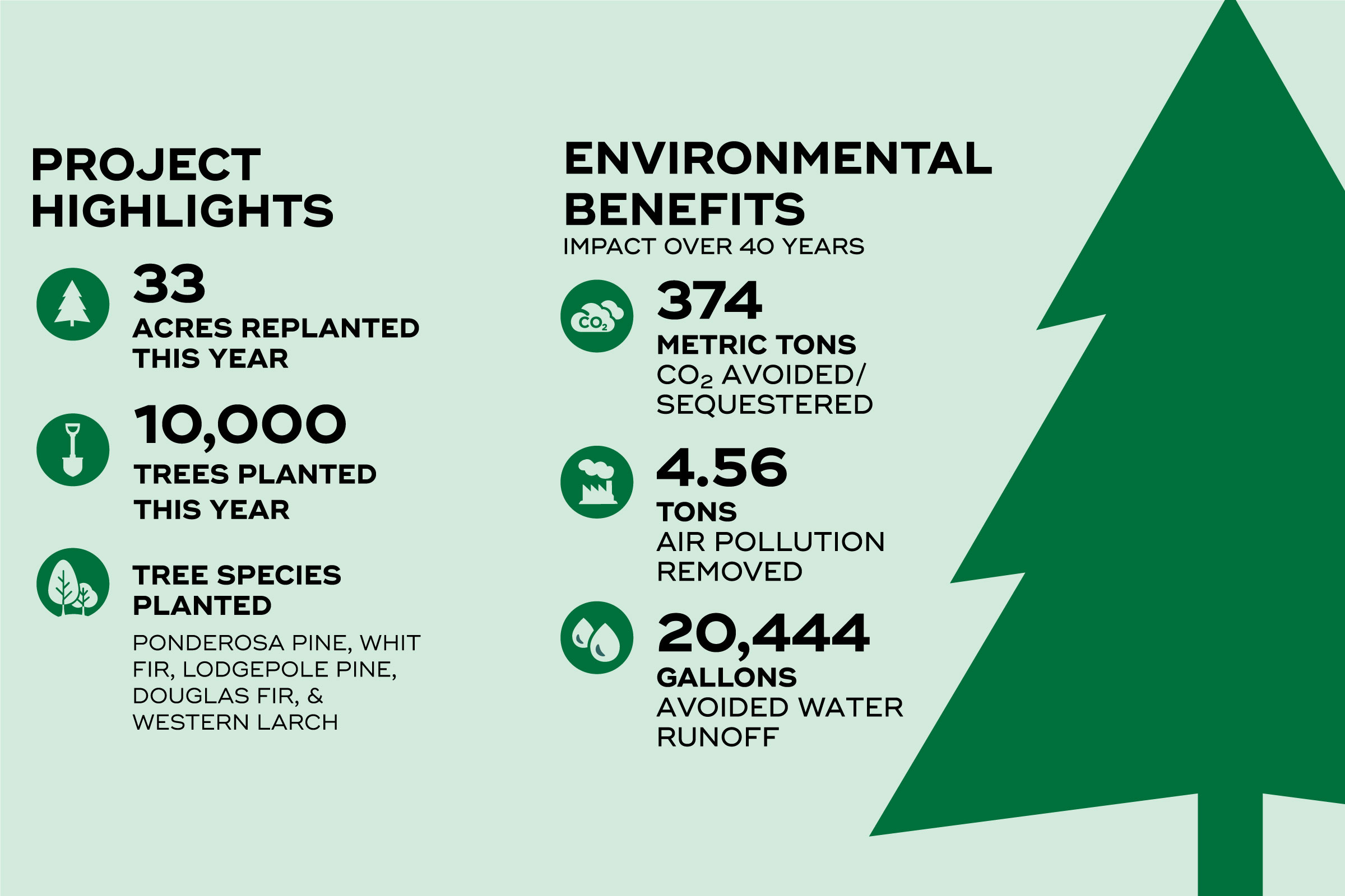 2023 Project Highlights infographic. 33 Acres replanted this year. 10,000 trees planted this year. Tree Species Planted: Ponderosa Pine, White Fir, Lodgepole Pine, Douglas Fir, Western Larch. Environmental Benefits impact over 40 years: 374 Metric Tons CO2 Avoided/Sequestered, 4.56 Air Pollution Removed. 20,444 Gallons of Water Runoff avoided. 