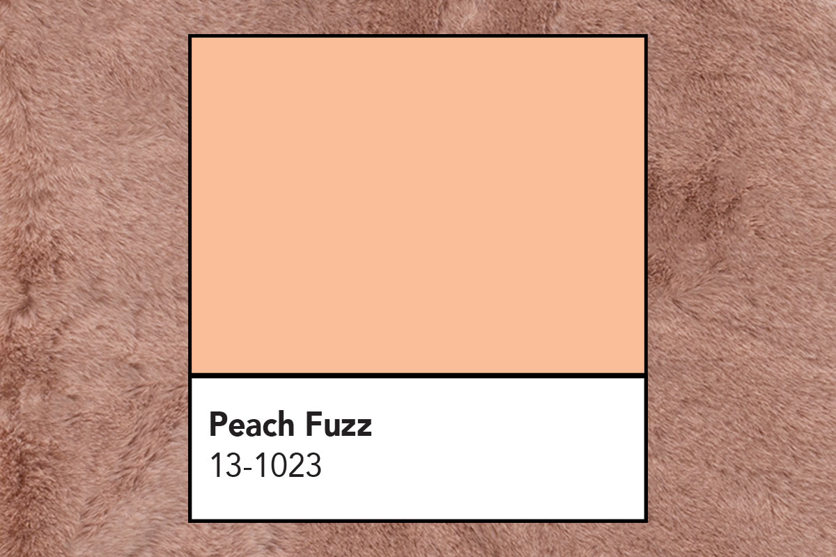 Peach Fuzz Pantone Color Swatch with Faux Fur Background
